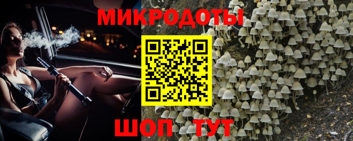 Галлюциногенные грибы Psilocybine cubensis Коммунар
