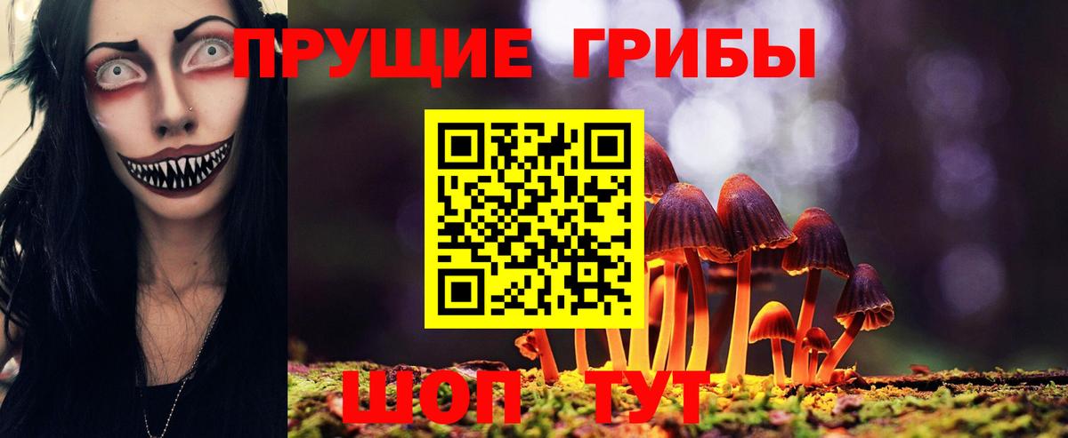 Галлюциногенные грибы Psilocybine cubensis  Вход с VPN  Коммунар 